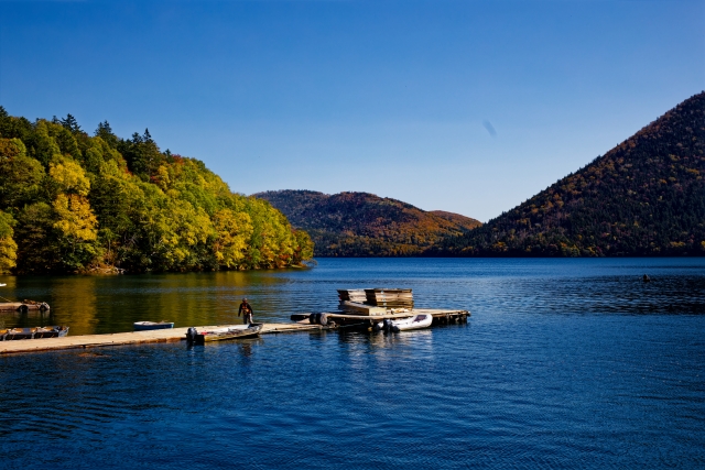 抹茶関連商品の販売
